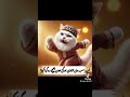 shaadi funny video status