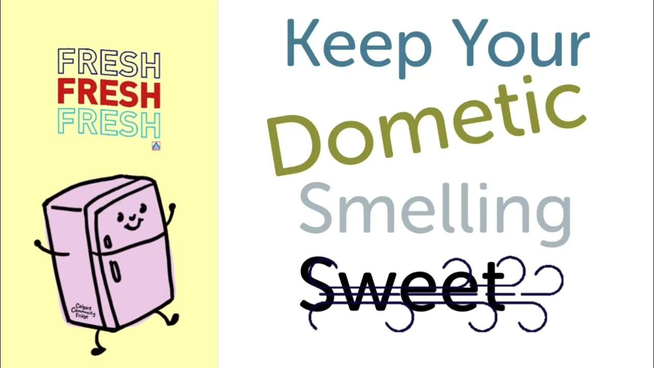 How to use an Airing Device Card Kit for Dometic Fridge Freezer YouTube