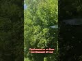 прибываем на оп блок пост 149км #железнаядорога#train