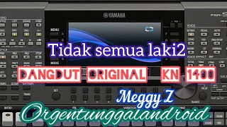 TIDAK SEMUA LAKI2 DANGDUT MANUAL KN 1400 - MEGGY Z