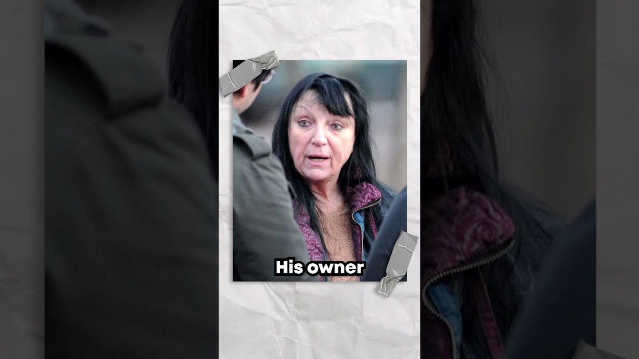 The Horrific Story Of Travis Chimp