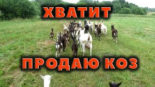 Продаю коз...