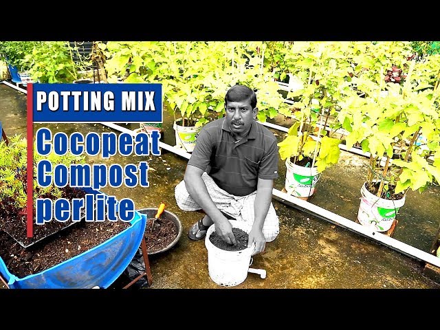 Coconut Coir Potting Mix Recipe - Coco Coir, Compost, Perlite or  Vermiculite 
