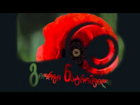 ©გიორგი ნატროშვილი (Geo Modern Studio)