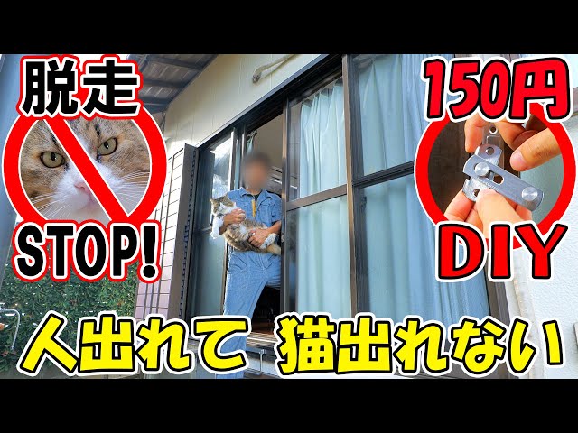 【猫の脱走】たった150円で解決！賃貸でもできる超簡単DIY🐈