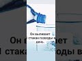 &quot;Волшебные газики&quot;. Лео Бокерия развеял миф о вреде газировки.