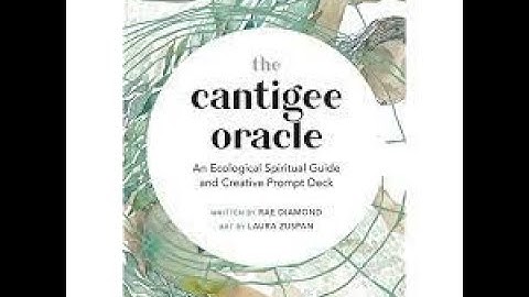 Unboxing Cantigee Oracle.