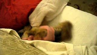 MVI_3685.AVI