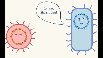 Promovideo iGEM Leiden 2021