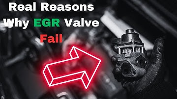 What Causes an EGR Valve to Fail: 7 Reasons Why Exhaust Gas Recirculation Valve Go Bad