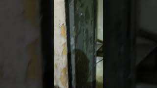 Joliet Prison Tour