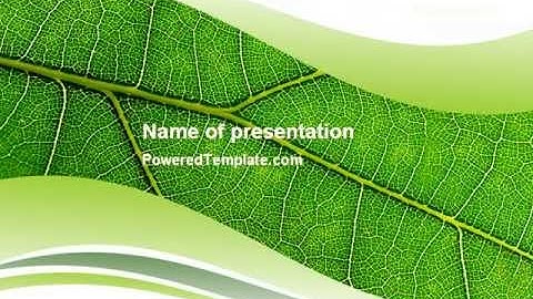 Green Leaf Wave PowerPoint Template by PoweredTemplate.com