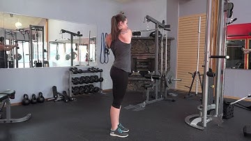 Dumbbell Standing Torso Rotation