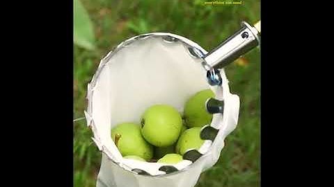 Dụng Cụ Hái Trái Cây Trên Cao Kèm Túi Vải Chuẩn Size 16 CM, Vợt Hái Quả Bằng Kim Loại Siêu Chắc