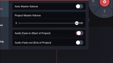HOW TO MAKE SCREEN STOP MOVING!{KineMaster}