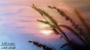جهريات ١٤٤٢ - من سورة الإسراء ~ الشيخ د. أنس العمادي