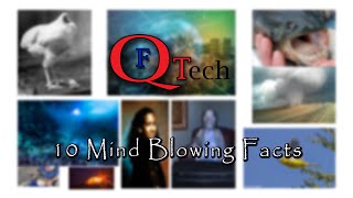 बिना सिर का मुर्गा || 10 mind blowing facts || Quick Fact Tech. ||