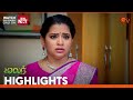 Malar  highlights  14 may 2024  tamil serial  sun tv
