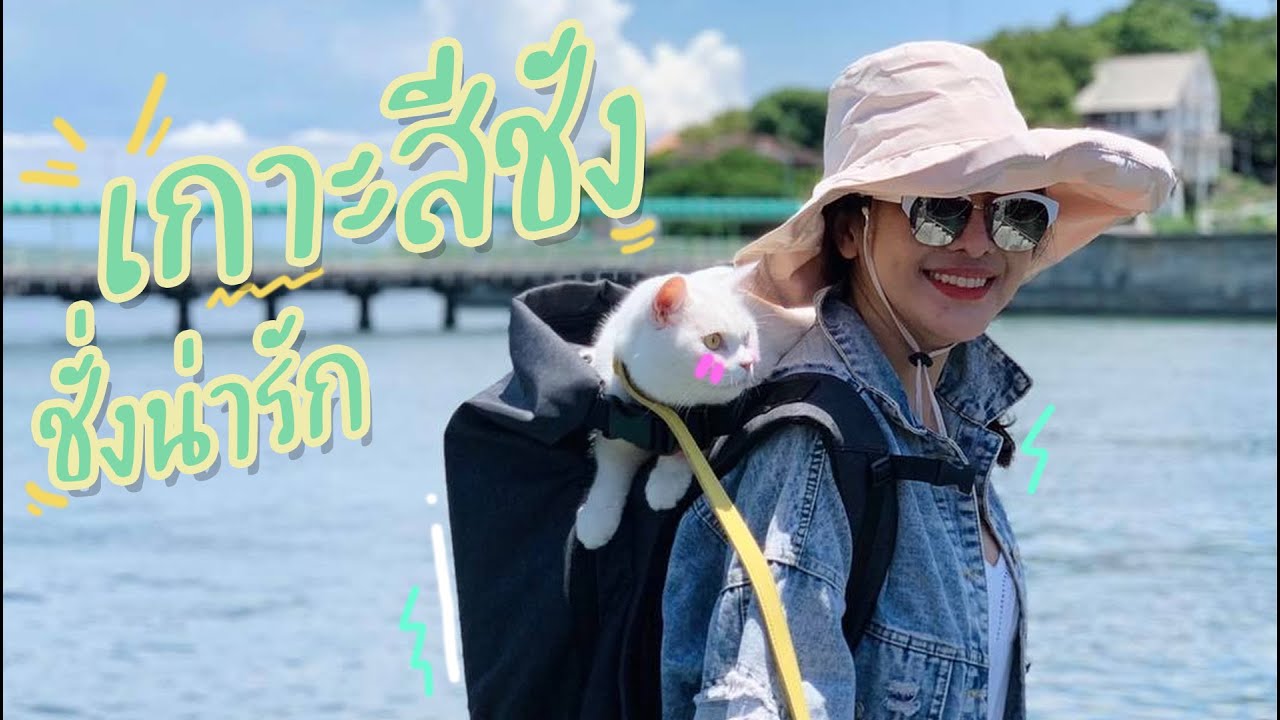 😺เกาะสีชัง ชั่งน่ารัก พาแว๊นรอบเกาะสุดแสนโรแมนติก | Buddy Journey