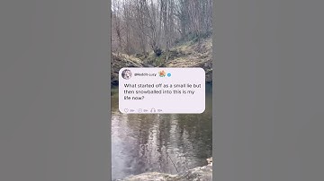 What started off as a small lie but then snowballed into this is my life now?#reddit #storytime