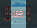 Penguin & mountains #marvelous #sunday #horse #penguin #umamusume #existentialism #inspire #lyrics