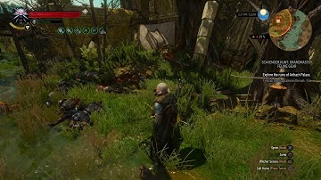 The Witcher 3  Wild Hunt - attacking a Hanse base using Whirl