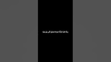 دقيقه من القرآن الكريم سورة الأنعام ياسر الديب #قرآن #religion #قرآن_كريم #قران #قران_كريم #religion