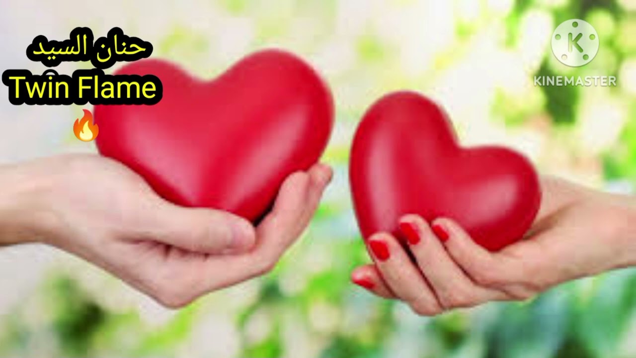 حال الهارب يتعرض للانتقام من الطرف الثالث ومطارد توأم الشعله يستقبل بشائر الفرج ابشر التعطيل اتفك♾️