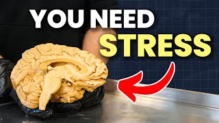 Download Lagu This Is What Stress is Really Doing to Your Body | Part 1 MP3