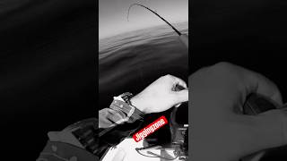 ZENAQ FOKEETO IKARI JIGGING MASTERCLASS #zenaq #ψάρεμα #fishing #jigging #verticaljigging #greek