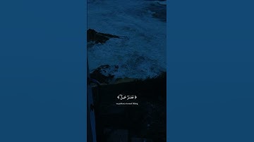 فَصَبْرٌ جَمِيلٌ | سورة يوسف | أنس لهبوبي