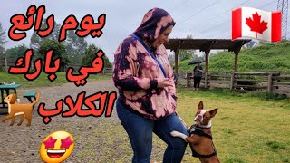 تعالى تشوف شنو شرينا و نزهة رائعة في بارك الكلاب Puppy Park And 1st Birthday