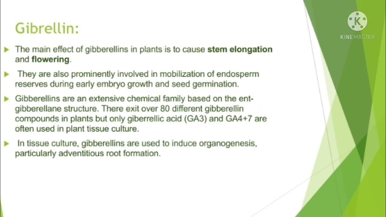 Plant growth regulators Plant tissue culture YouTube