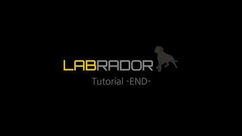 LABRADOR Tutorial [ENG]