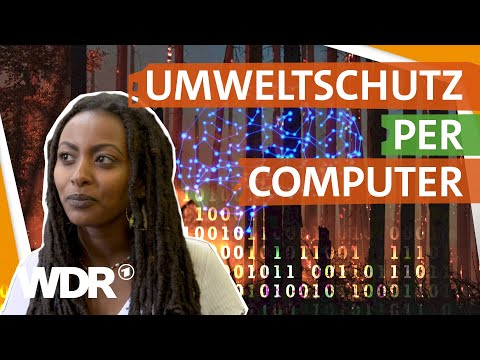 Video: Wie kann künstliche Intelligenz der Umwelt helfen?