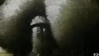 XXL XXL XXL XXL FREESTYLE 2024 | XXL 2024 | Xxwd5000xa | XXL XXL XXL XXL FREESTYLE