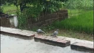 XXL XXL XXL XXL FREESTYLE 2024 | XXL 2024 | Xxwd5000xa | XXL XXL XXL XXL FREESTYLE