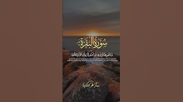 سورة البقرة آيات تلامس القلوب وتبعث السكينة | Surah Al-Baqarah Heart-Touching Verses Bringing Trqu