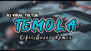 TEMOLA x WELCOME TO AFACH (Kifli Gesec) DJ TIKTOK REMIX 2022