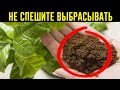 5 Уникальных Способов Использования Молотого Кофе В Быту! Вы Даже Не Догадывались, Что Так Можно!