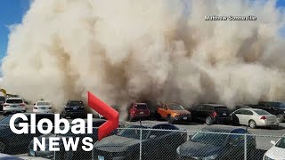 Imagine coming back to your car and finding it covered in dust