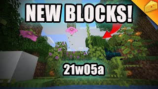 21w05a - DRIPLEAF, GLOW BERRIES, AND MOSS! - Minecraft 1.17 Snapshot 21w05a Overview