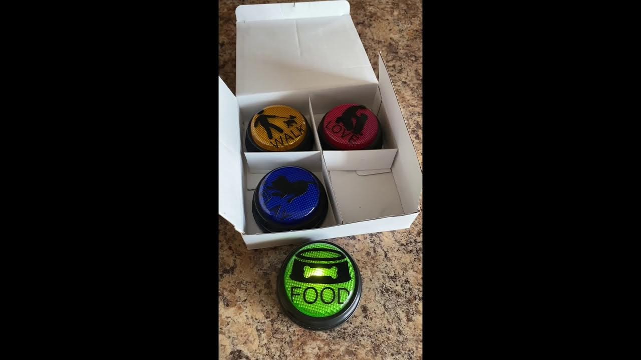 Dog Training Button Video YouTube