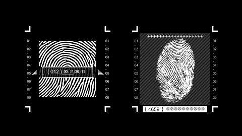 Identification HUD Infographic