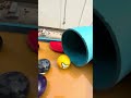 A thrilling and hilarious Marble Run! Genius Kamerin7