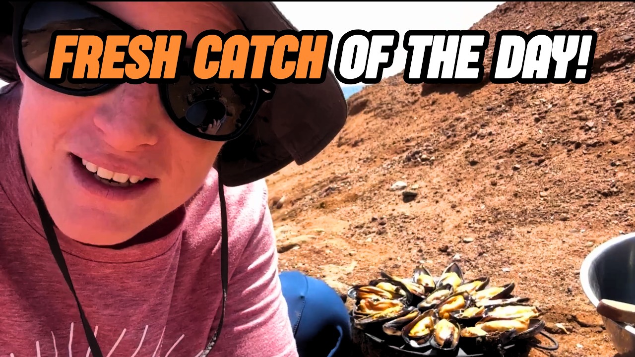 Beach Adventure With Fossils, Geysers, and Fresh Seafood!