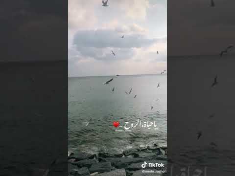 فضل شاكر يا حياة الروح قلبي ما داق النوم