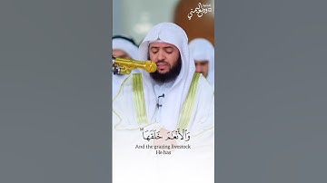 والأنعام خلقها لكم فيها دفء ومنافع || الشيخ وديع اليمني تلاوة خاشعة من سورة النحل