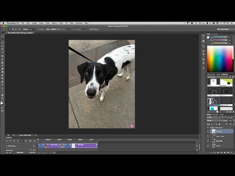 How to Create an Animated GIF from a Video in Photoshop CC