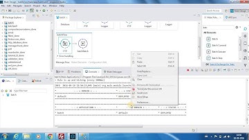 Mule ESB Tutorials - Batch & Batch Execute - Video 23